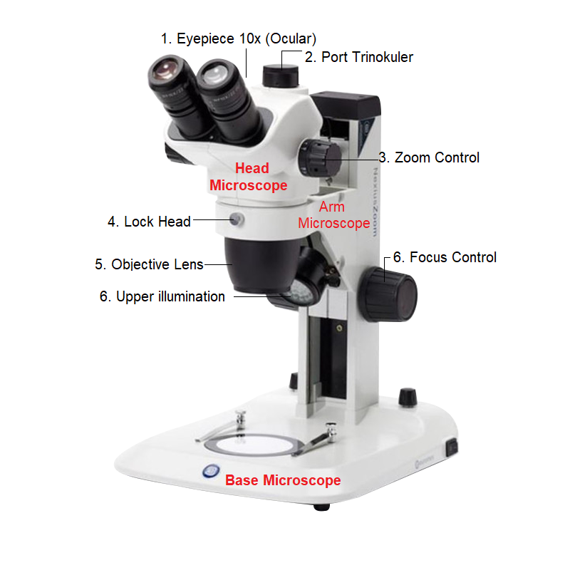 Detail Gambar Jenis Mikroskop Lengkap Dengan Bagian Bagiannya Nomer 30