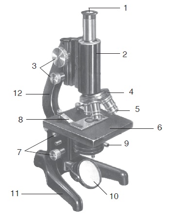 Detail Gambar Jenis Mikroskop Lengkap Dengan Bagian Bagiannya Nomer 41