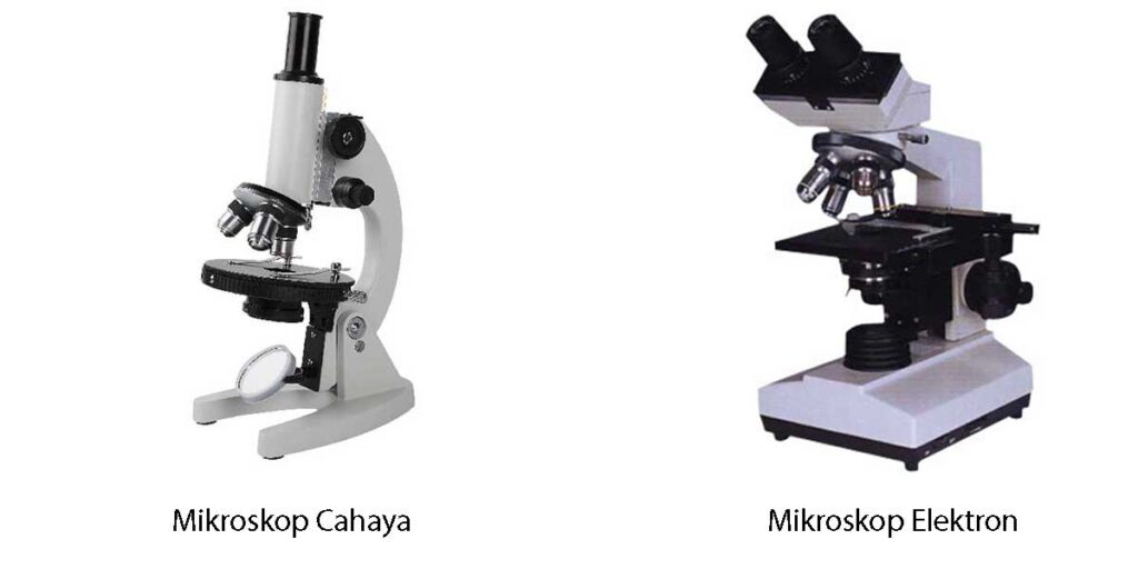 Detail Gambar Jenis Mikroskop Lengkap Dengan Bagian Bagiannya Nomer 46