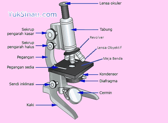 Detail Gambar Jenis Mikroskop Lengkap Dengan Bagian Bagiannya Nomer 53