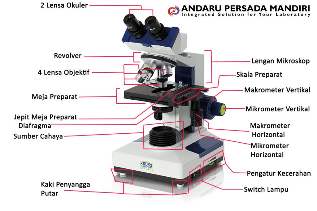 Detail Gambar Jenis Mikroskop Lengkap Dengan Bagian Bagiannya Nomer 6