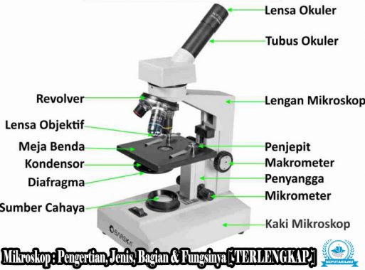 Detail Gambar Jenis Mikroskop Lengkap Dengan Bagian Bagiannya Nomer 7