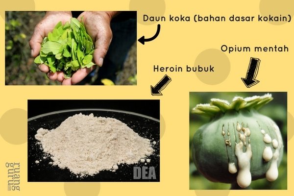 Gambar Jenis Narkoba Bahan Adektif - KibrisPDR