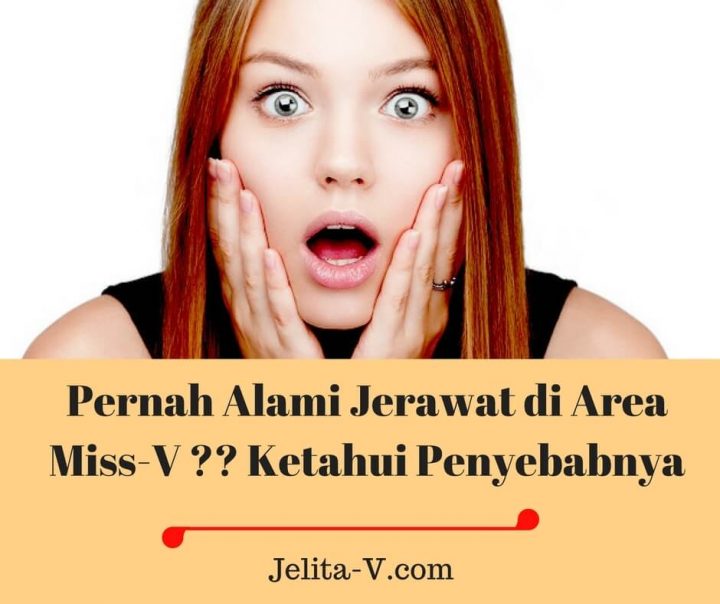 Detail Gambar Jerawat Di Miss V Nomer 28