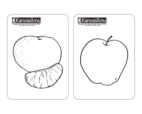 Detail Gambar Jeruk Gambar Mewarnai Buah Semangka Nomer 14