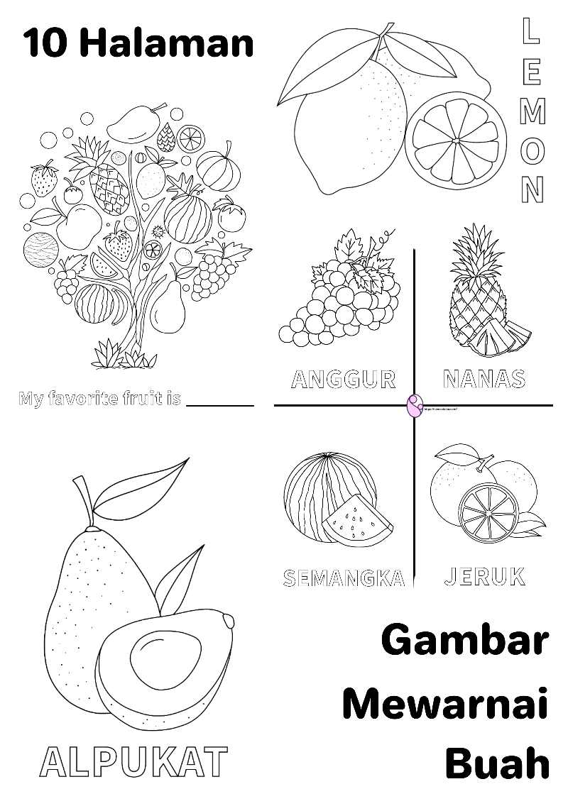 Detail Gambar Jeruk Gambar Mewarnai Buah Semangka Nomer 45