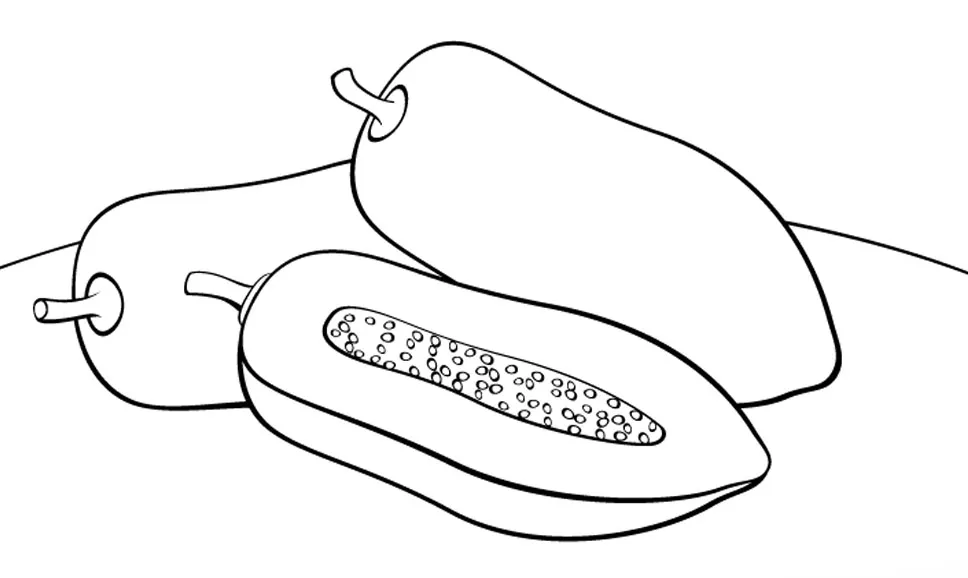 Detail Gambar Jeruk Gambar Mewarnai Buah Semangka Nomer 48