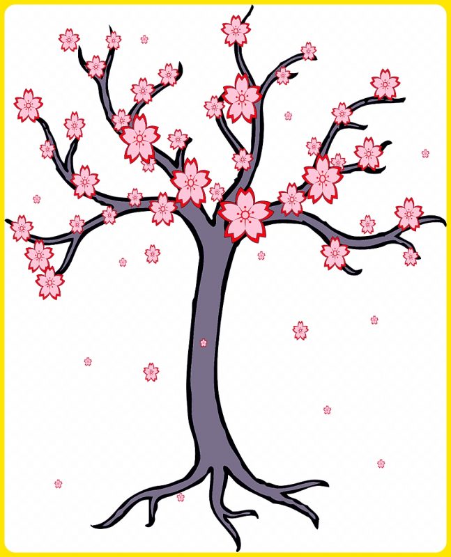 Detail Gambar Jeruk Gambar Mewarnai Bunga Sakura Nomer 19