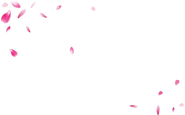 Detail Gambar Jeruk Gambar Mewarnai Bunga Sakura Nomer 54
