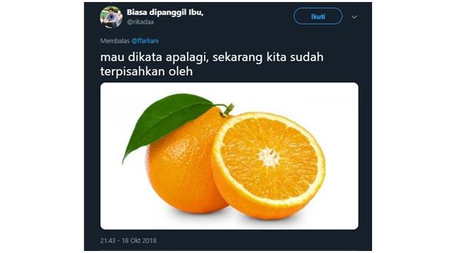 Detail Gambar Jeruk Kata Kata Nomer 7