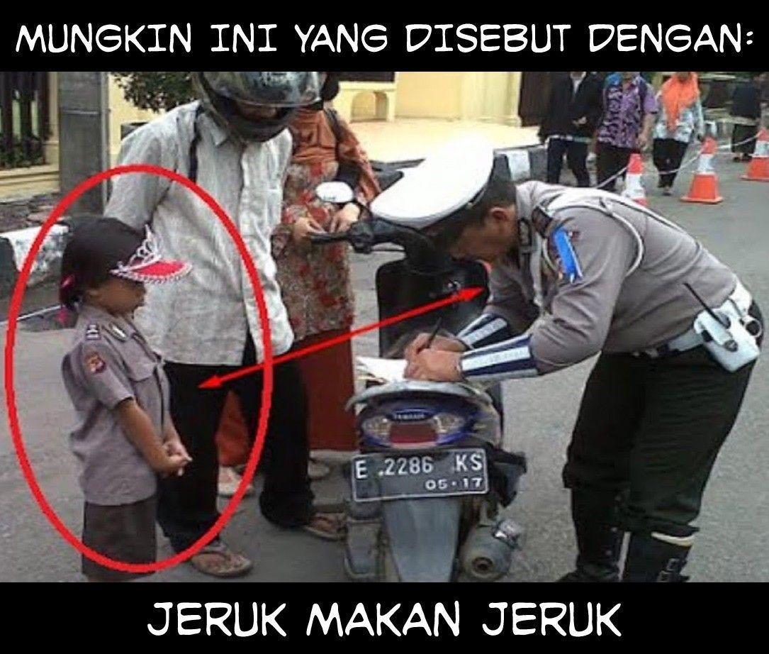 Detail Gambar Jeruk Kata Kata Lucu Nomer 35