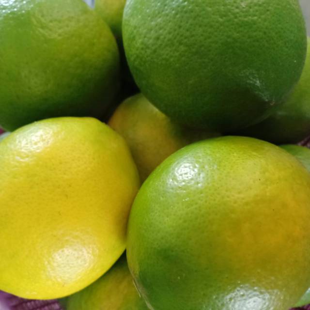 Detail Gambar Jeruk Lemon Nomer 38
