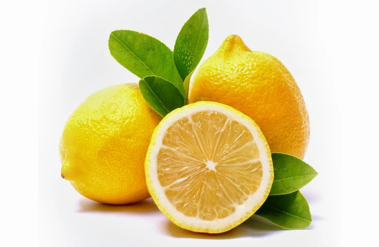 Detail Gambar Jeruk Lemon Nomer 5