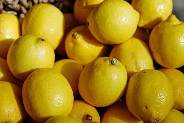 Detail Gambar Jeruk Lemon Nomer 9