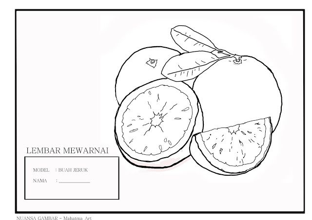 Detail Gambar Jeruk Mewarnai Kartun Nomer 52