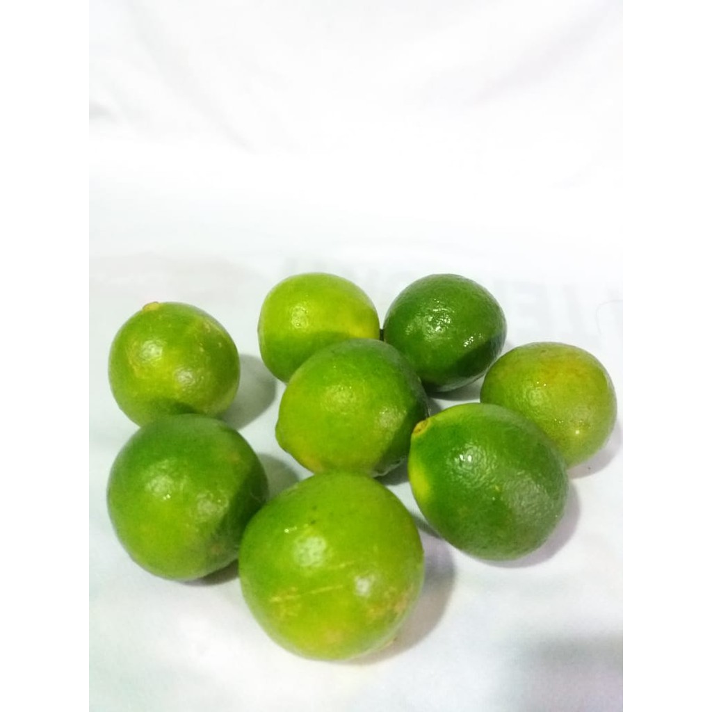 Detail Gambar Jeruk Nipis Asli Nomer 34
