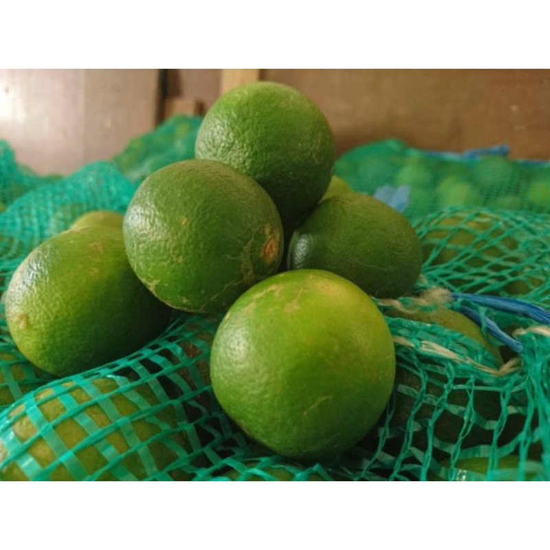 Detail Gambar Jeruk Nipis Asli Nomer 53