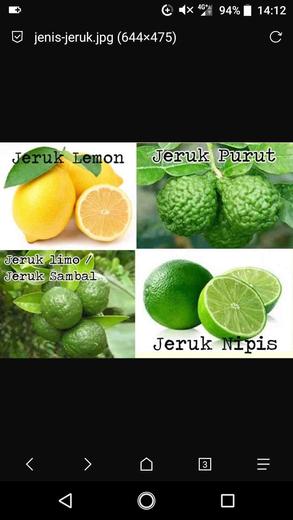 Detail Gambar Jeruk Nipis Dan Lemon Nomer 29