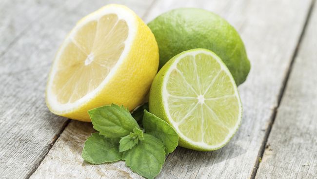 Detail Gambar Jeruk Nipis Dan Lemon Nomer 5