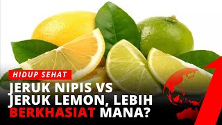 Detail Gambar Jeruk Nipis Dan Lemon Nomer 46