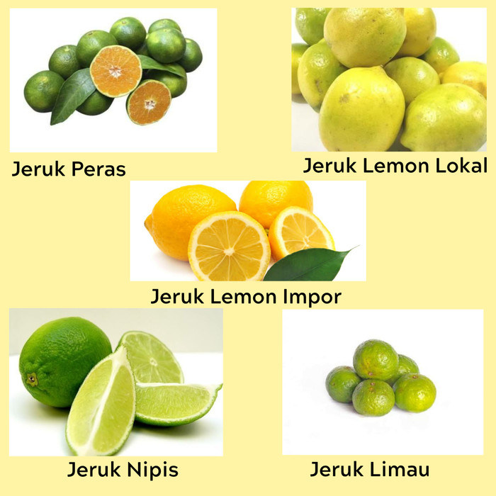 Detail Gambar Jeruk Nipis Peras Nomer 40