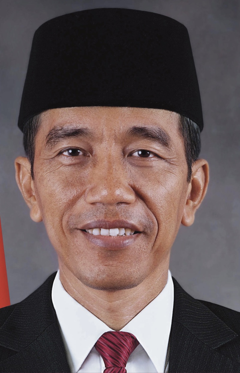 Detail Gambar Joko Widodo Nomer 3