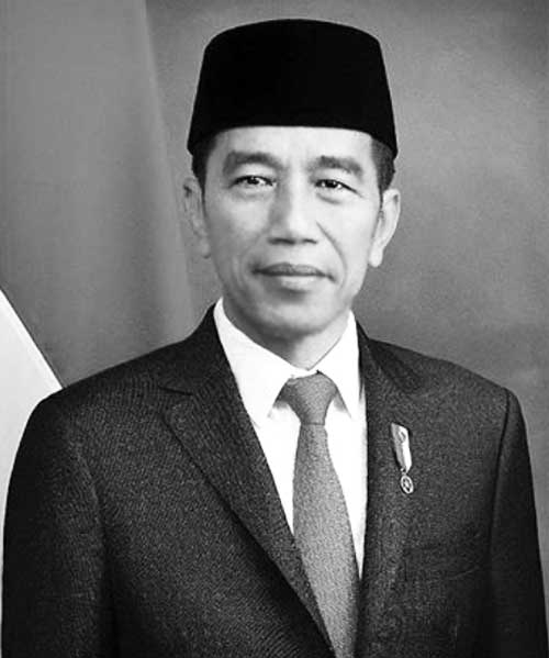 Detail Gambar Jokowi Hitam Putih Nomer 2