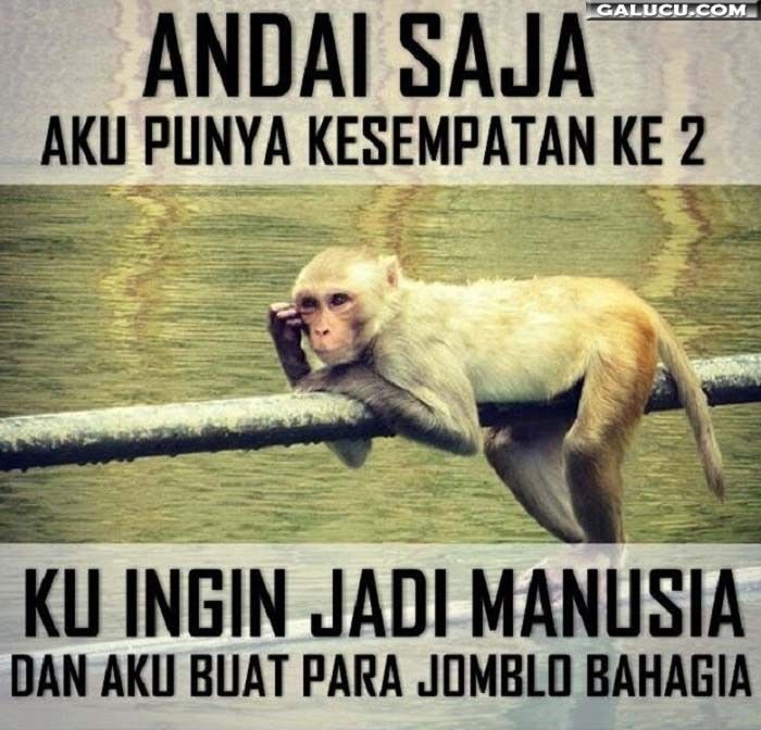 Detail Gambar Jomblo Bahagia Nomer 50