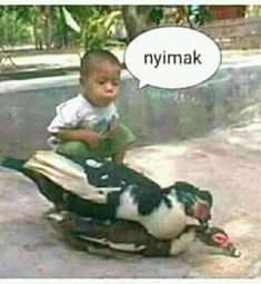 Detail Gambar Jorok Dan Lucu Nomer 3