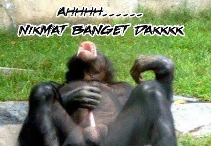 Detail Gambar Jorok Dan Lucu Nomer 31