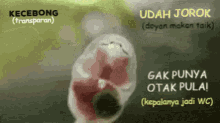Detail Gambar Jorok Dan Lucu Nomer 37