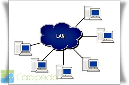 Detail Gambar Jringan Lan Nomer 22