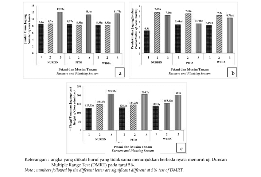 Gambar Jumlah Daun Tanaman Jagung - KibrisPDR