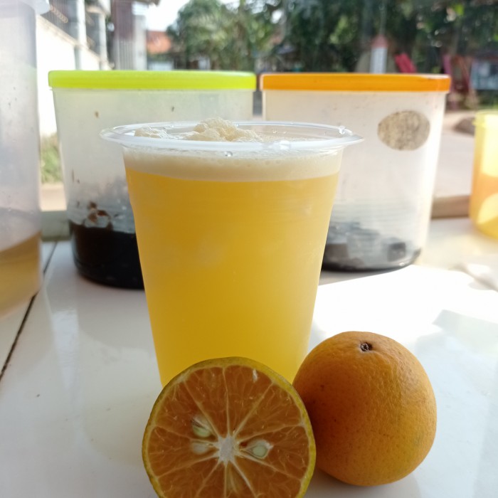 Detail Gambar Jus Jeruk Peras Nomer 18