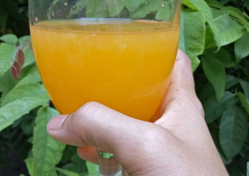 Detail Gambar Jus Jeruk Peras Nomer 27