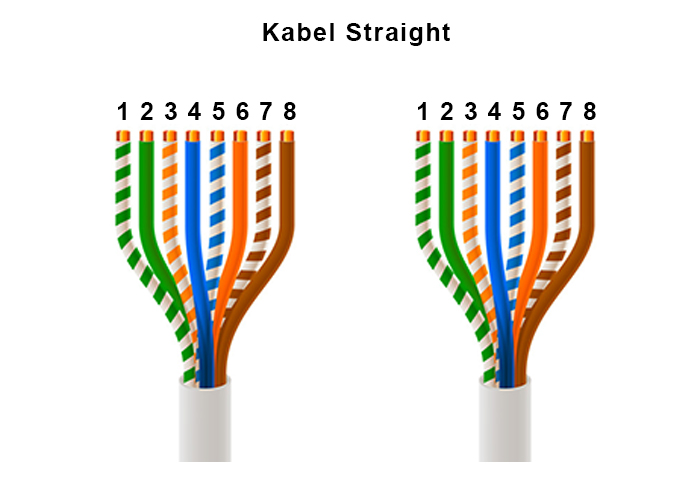 Detail Gambar Kabel Cross Nomer 23