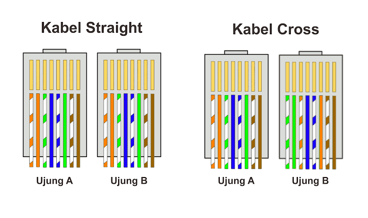 Detail Gambar Kabel Cross Dan Straight Nomer 3