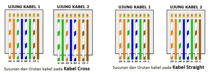 Detail Gambar Kabel Cross Dan Straight Nomer 45