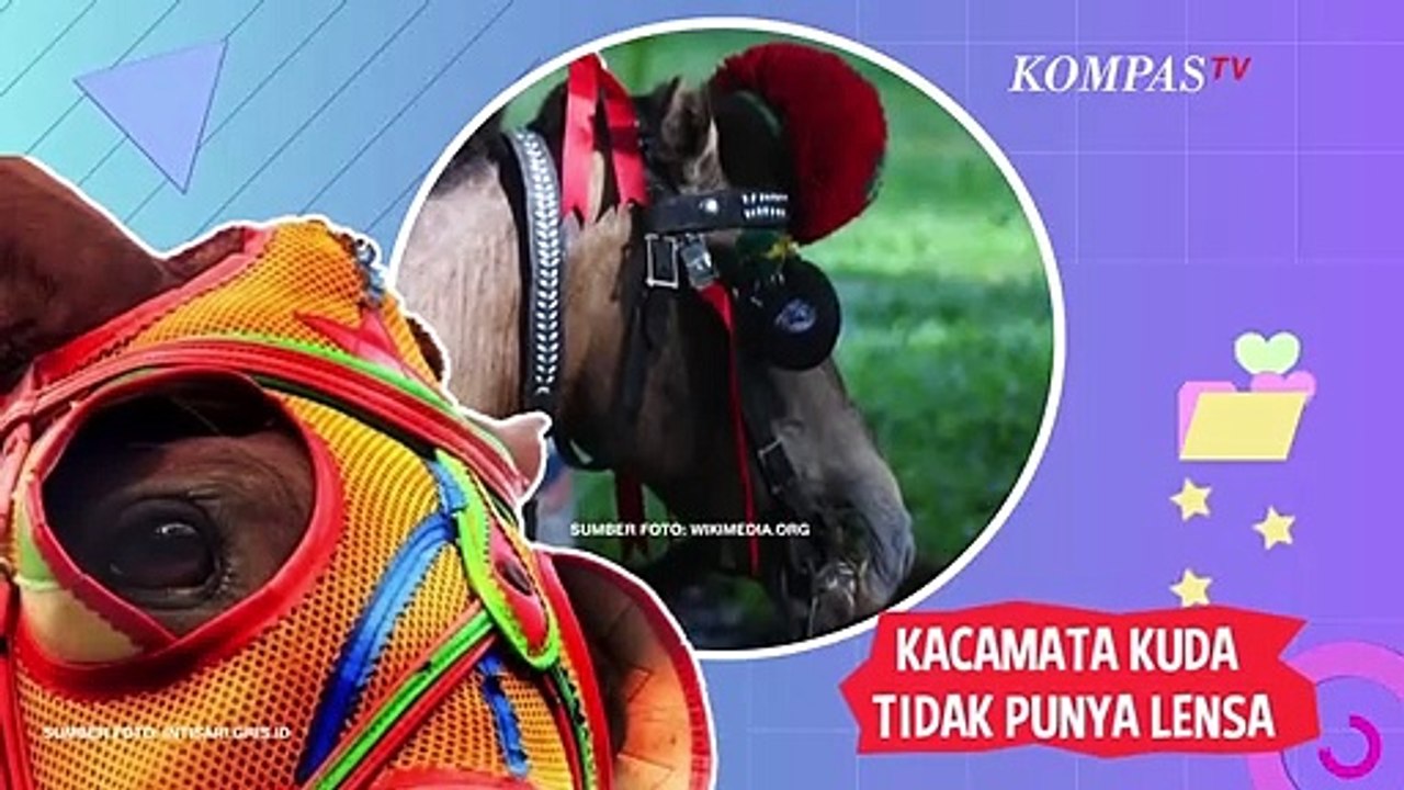 Detail Gambar Kacamata Kuda Nomer 36