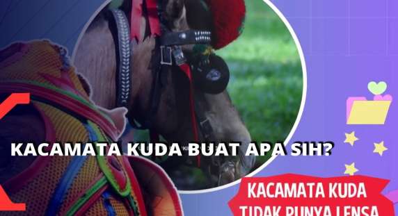 Detail Gambar Kacamata Kuda Nomer 45