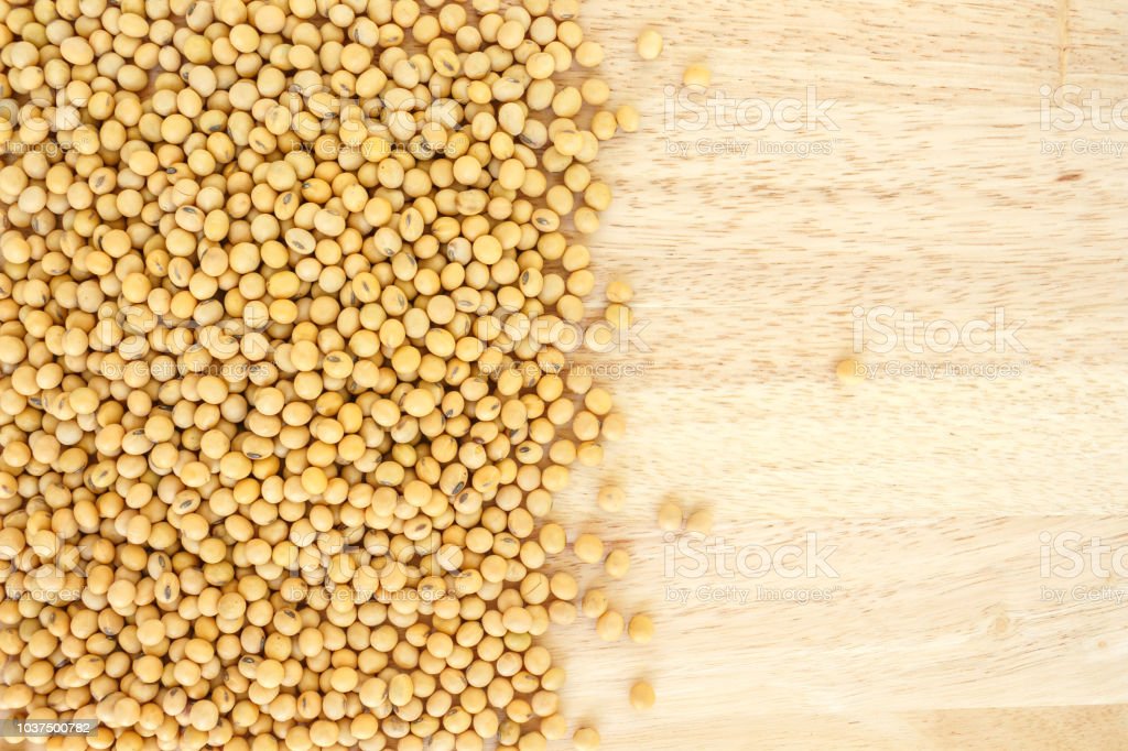 Detail Gambar Kacang Background Ppt Animasi Gerak Nomer 22