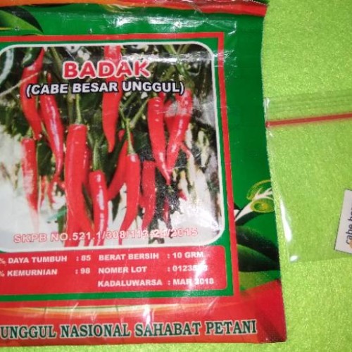 Detail Gambar Kacang Gambar Cabai Besar Merah Nomer 18