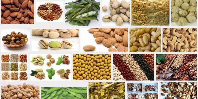 Detail Gambar Kacang Kacangan Nomer 19