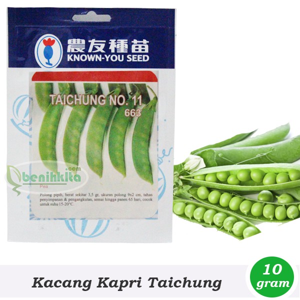 Detail Gambar Kacang Kapri Nomer 46