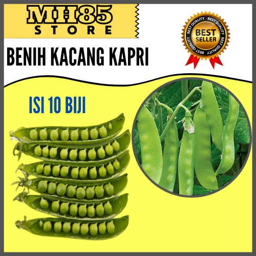 Detail Gambar Kacang Kapri Nomer 52