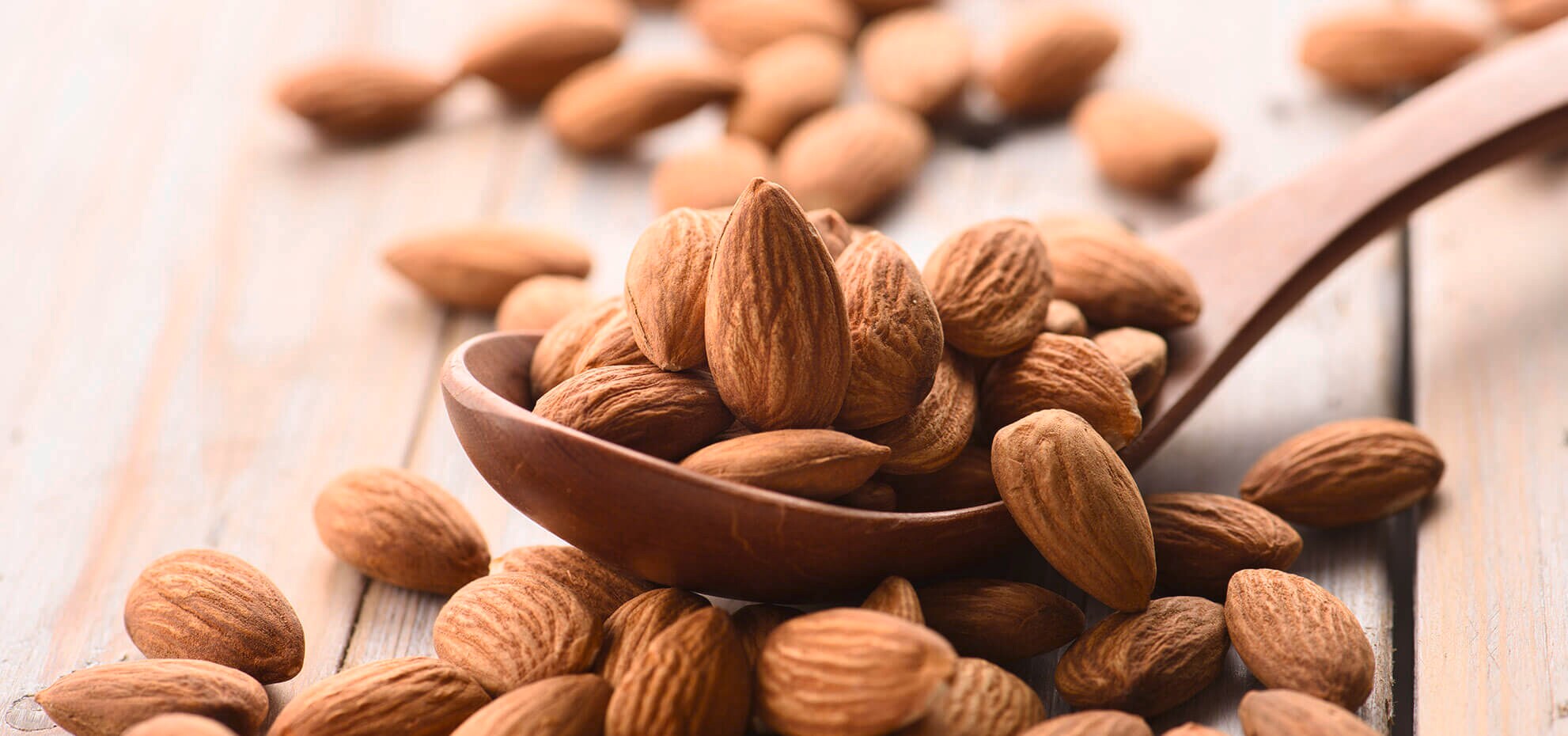 Detail Gambar Kacang Lima Nomer 49