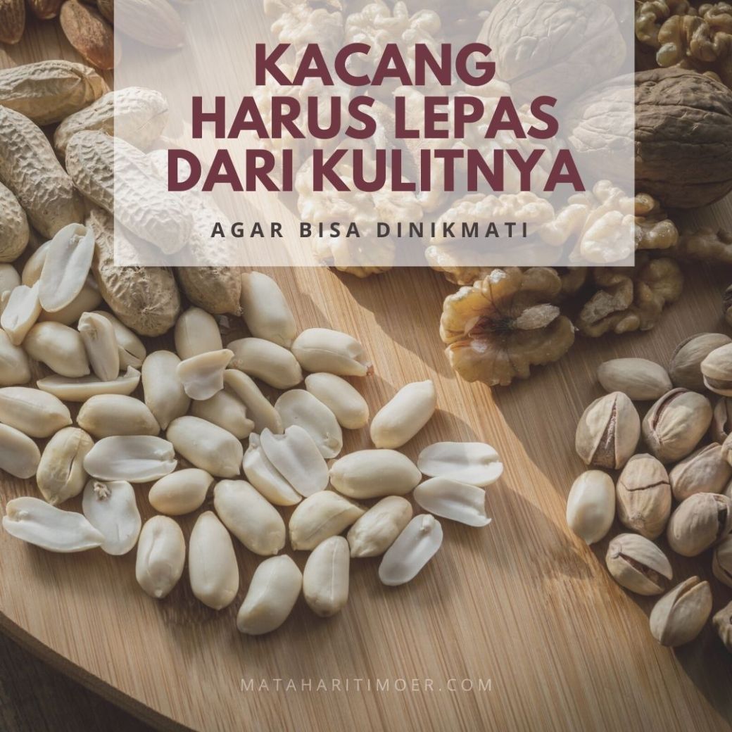 Detail Gambar Kacang Lupa Kulit Nomer 2