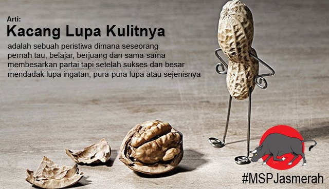 Detail Gambar Kacang Lupa Kulit Nomer 11