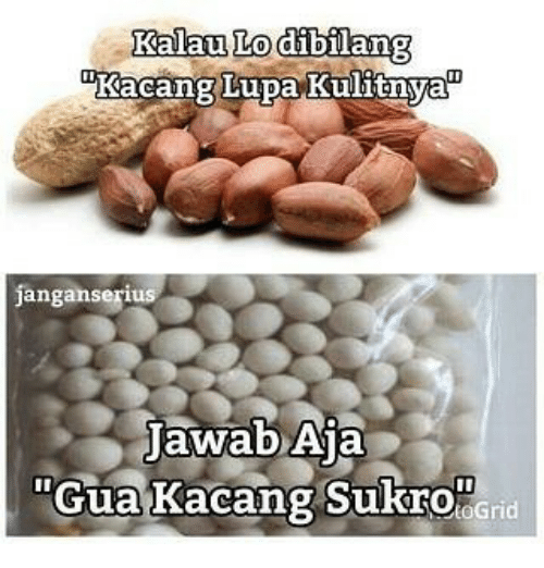 Detail Gambar Kacang Lupa Kulit Nomer 35