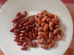 Detail Gambar Kacang Merah Kering Nomer 32